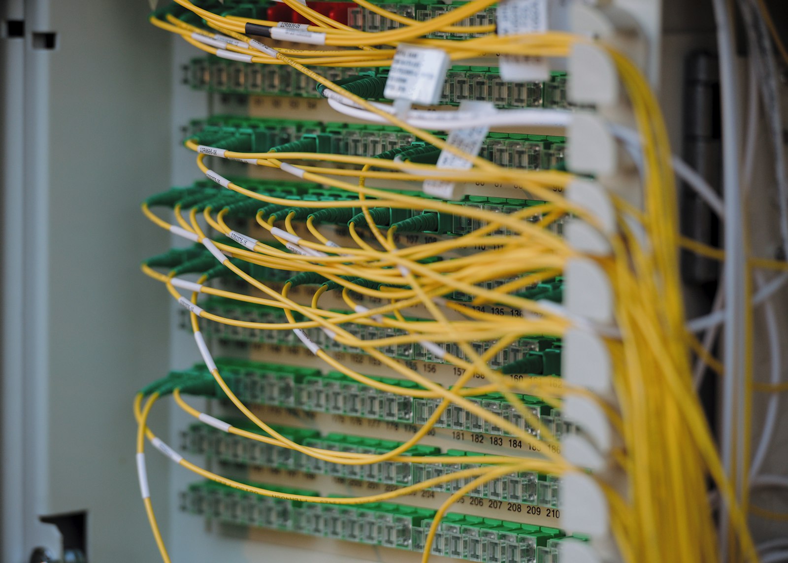 Shared Hosting vs Cloud Hosting เลือกแบบไหนดี